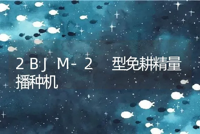 2BJM-2 型免耕精量播种机 | 养殖