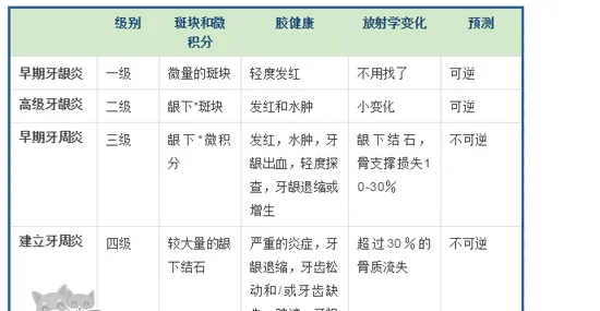 狗牙周炎怎么清洗 今天您的狗狗刷牙了吗 | 宠物病虫害防治