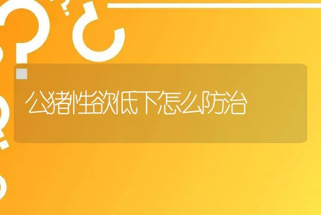 公猪性欲低下怎么防治 | 动物养殖