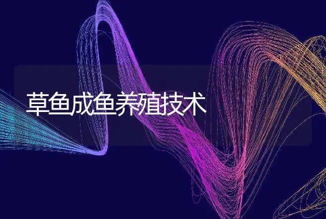 草鱼成鱼养殖技术 | 动物养殖