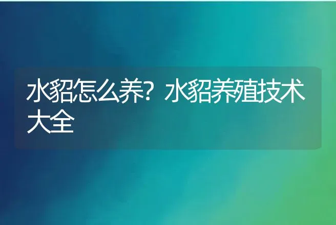 水貂怎么养？水貂养殖技术大全 | 特种养殖