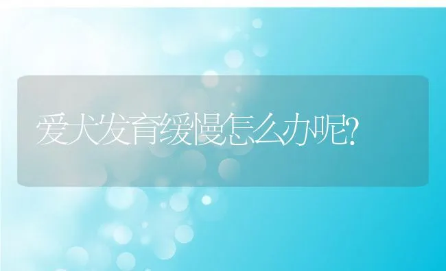 爱犬发育缓慢怎么办呢？ | 宠物猫