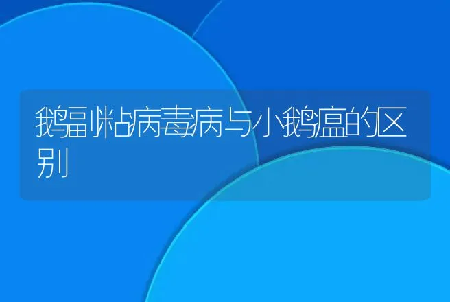 鹅副粘病毒病与小鹅瘟的区别 | 家禽养殖