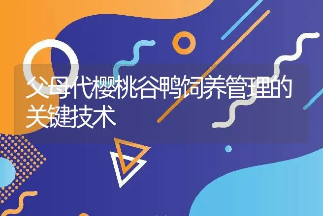 石斑鱼成鱼养殖技术 | 动物养殖