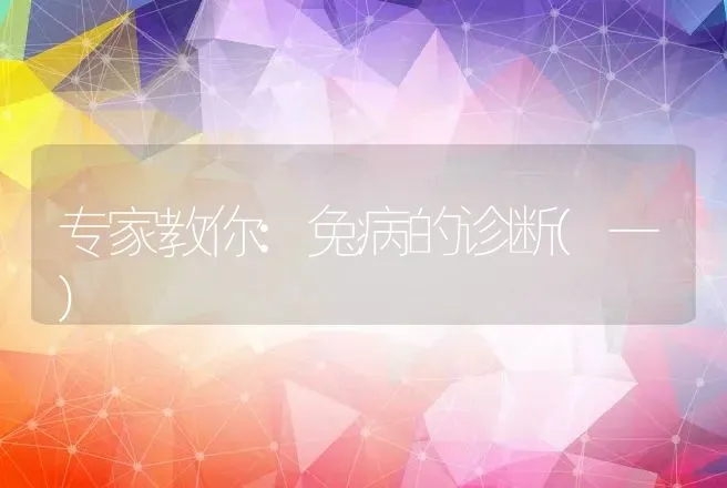 专家教你:兔病的诊断(一) | 动物养殖