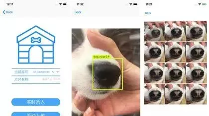 AI、狗脸识别!宠业黑科技大全，哪个你用的上! | 宠物新闻资讯