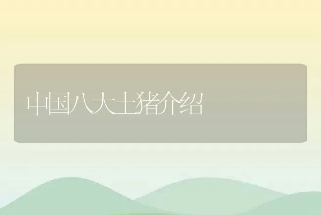 中国八大土猪介绍 | 家畜养殖