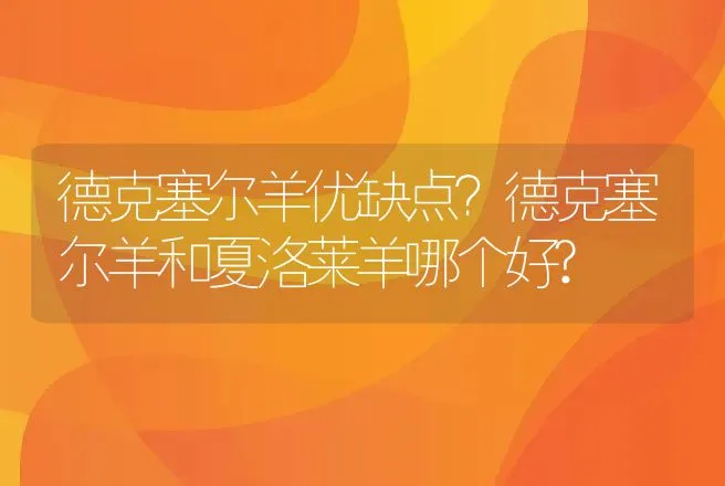 德克塞尔羊优缺点？德克塞尔羊和夏洛莱羊哪个好? | 家畜养殖