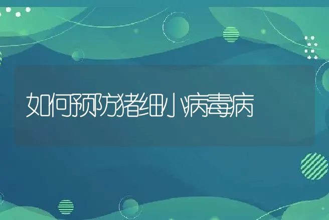 羔羊破伤风的防治技术要点 | 动物养殖