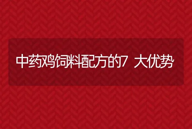 中药鸡饲料配方的7大优势 | 动物养殖