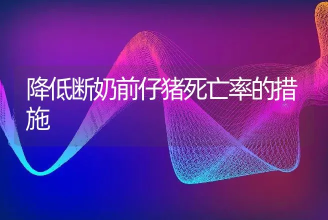 倍蒂纳火鸡孵化的技术要领 | 动物养殖