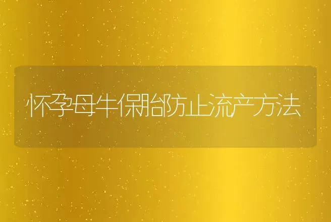 怀孕母牛保胎防止流产方法 | 家畜养殖