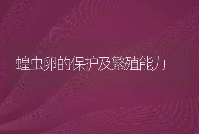 蝗虫卵的保护及繁殖能力 | 特种养殖