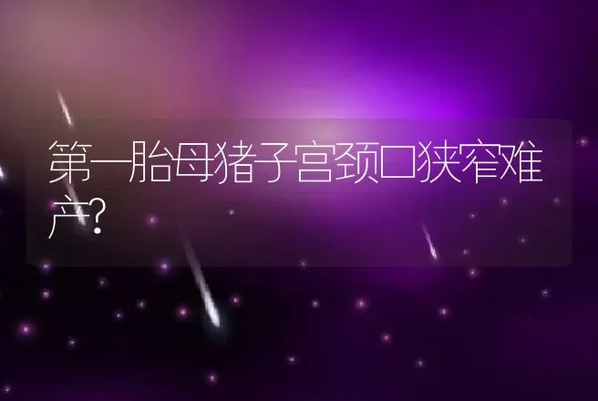 第一胎母猪子宫颈口狭窄难产? | 动物养殖