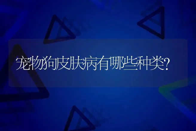 宠物狗皮肤病有哪些种类？ | 兽医知识大全