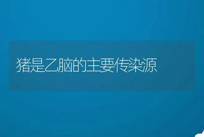 猪是乙脑的主要传染源 | 兽医知识大全