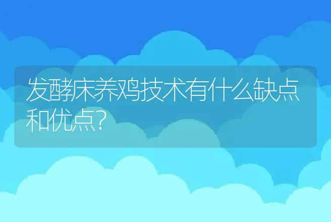 发酵床养鸡技术有什么缺点和优点？ | 家禽养殖