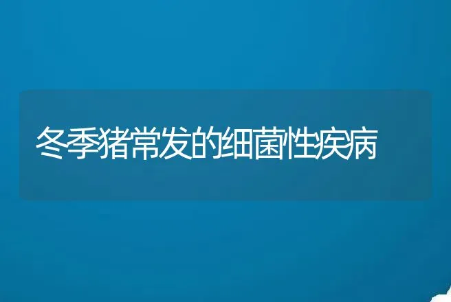 冬季猪常发的细菌性疾病 | 动物养殖