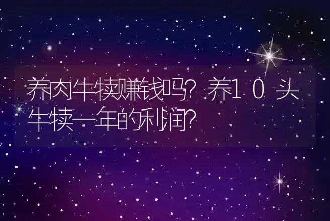 养肉牛犊赚钱吗？养10头牛犊一年的利润？ | 养殖致富