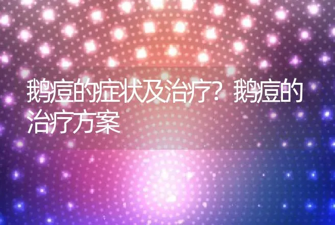 鹅痘的症状及治疗？鹅痘的治疗方案 | 兽医知识大全