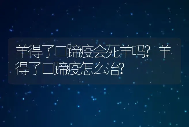 羊得了口蹄疫会死羊吗?羊得了口蹄疫怎么治? | 兽医知识大全