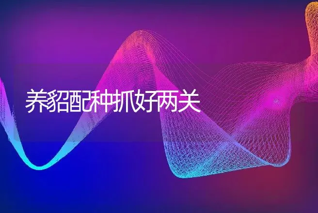 养貂配种抓好两关 | 动物养殖