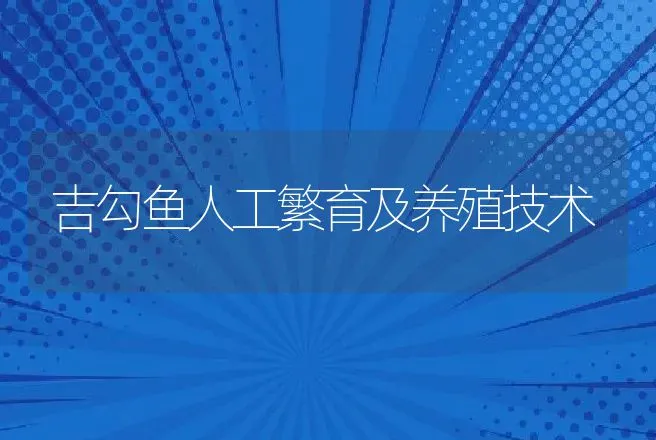 吉勾鱼人工繁育及养殖技术 | 特种养殖