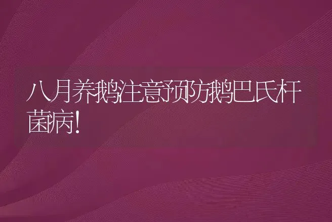 八月养鹅注意预防鹅巴氏杆菌病！ | 兽医知识大全