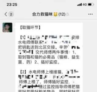 他们守着监控,看自己留守在武汉的宠物如何被救? | 宠物新闻资讯