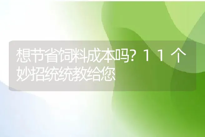 想节省饲料成本吗？11个妙招统统教给您 | 家畜养殖