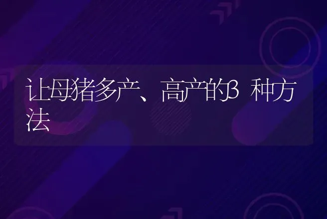 让母猪多产、高产的3种方法 | 家畜养殖