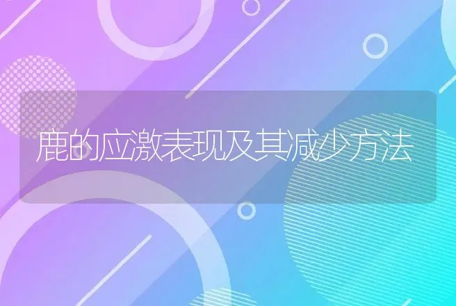 鹿的应激表现及其减少方法 | 动物养殖