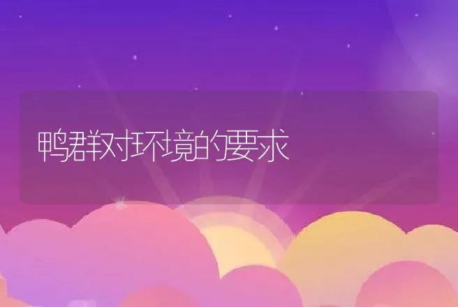 鸭群对环境的要求 | 动物养殖