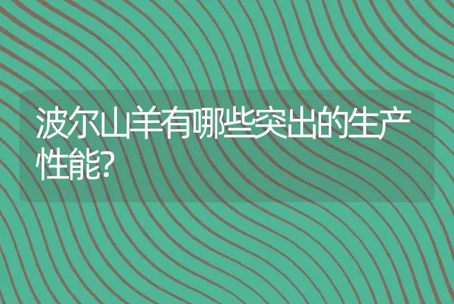 波尔山羊有哪些突出的生产性能？ | 动物养殖