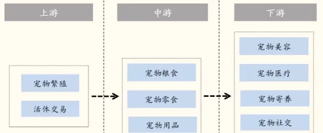 美国vs中国“萌宠经济”产业链各环节投资机会分析 | 宠物行业洞察