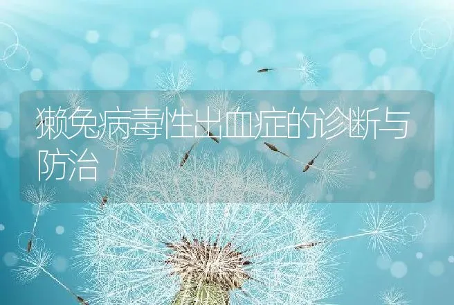 獭兔病毒性出血症的诊断与防治 | 动物养殖