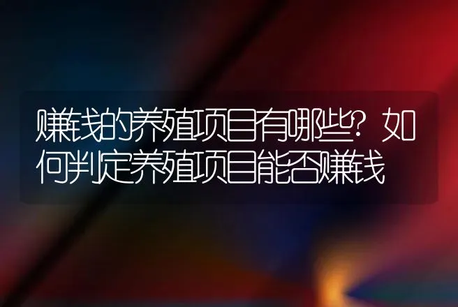 赚钱的养殖项目有哪些?如何判定养殖项目能否赚钱 | 养殖致富