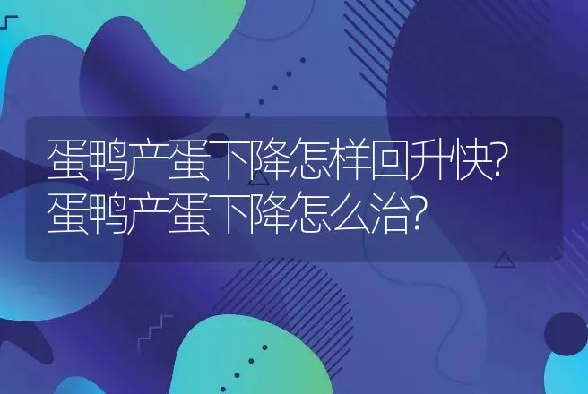 蛋鸭产蛋下降怎样回升快?蛋鸭产蛋下降怎么治? | 兽医知识大全