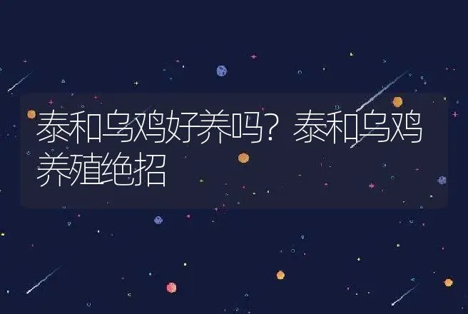 蒙古牛是什么牛？蒙古牛品种介绍 | 动物养殖