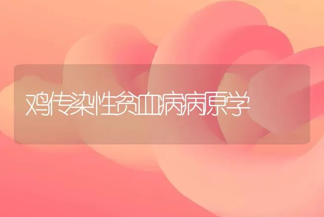 鸡传染性贫血病病原学 | 动物养殖