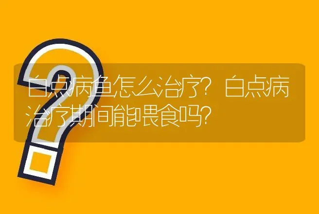 白点病鱼怎么治疗？白点病治疗期间能喂食吗？ | 兽医知识大全