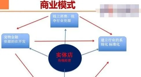 投融界专访上海晓雨宠物服务有限公司许峥嵘 | 宠物新闻资讯