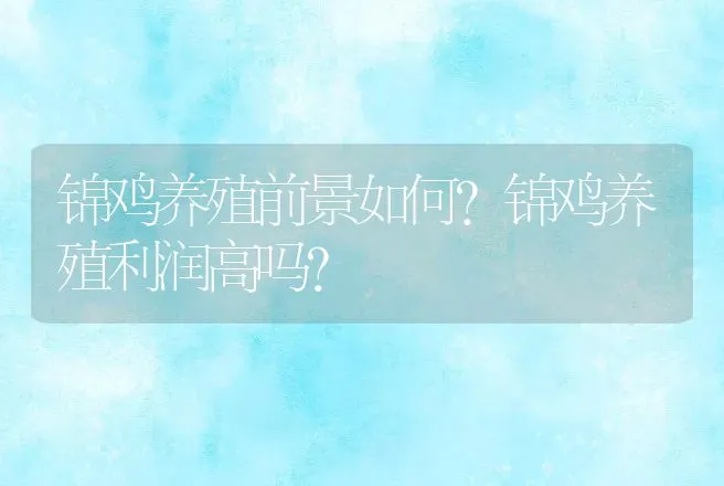 锦鸡养殖前景如何？锦鸡养殖利润高吗？ | 养殖致富