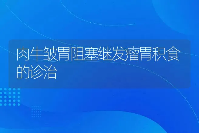 肉牛皱胃阻塞继发瘤胃积食的诊治 | 动物养殖