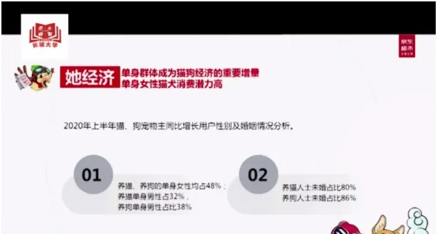 京东宠物左玉洁：品牌形象应如何在大流量平台拔得头筹？ | 宠物行业洞察