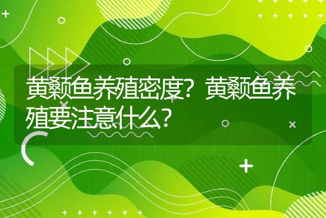 黄颡鱼养殖密度？黄颡鱼养殖要注意什么？ | 水产知识