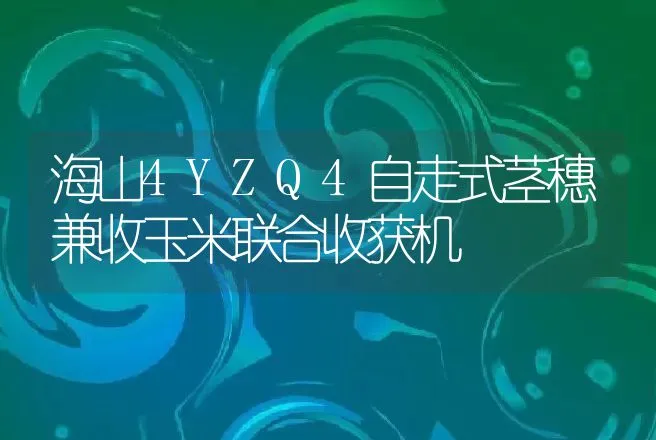 海山4YZQ4自走式茎穗兼收玉米联合收获机 | 养殖