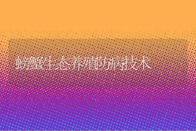 螃蟹生态养殖防病技术 | 水产知识