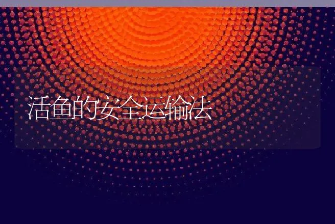 活鱼的安全运输法 | 动物养殖