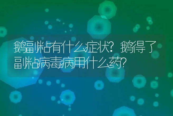 鹅副粘有什么症状?鹅得了副粘病毒病用什么药？ | 兽医知识大全